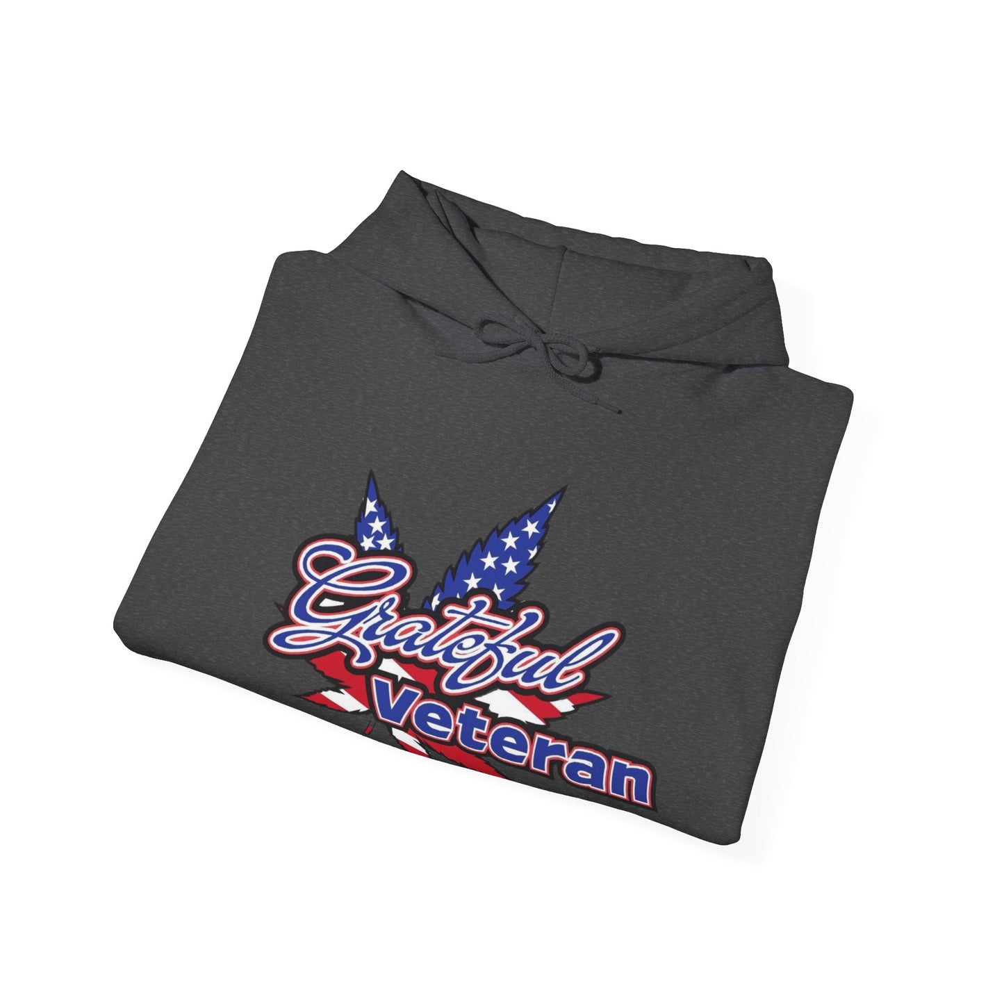 Embrace the Mission with the Grateful Veteran