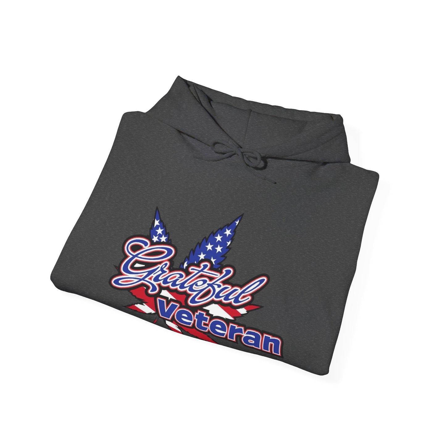 Embrace the Mission with the Grateful Veteran