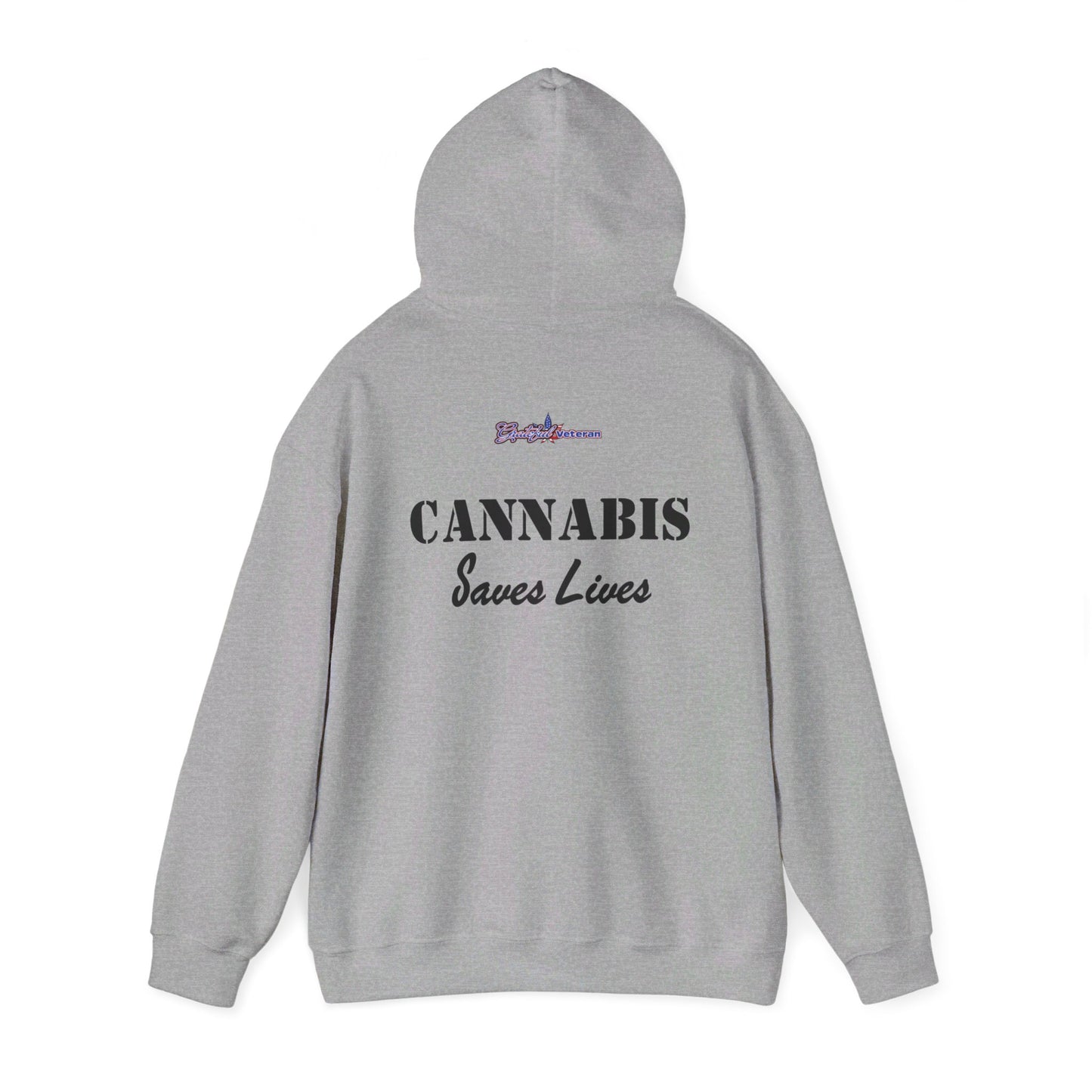 Soar High with the USAF F-22 Cannabis Leaf Hoodie