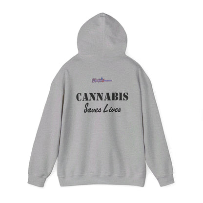 Soar High with the USAF F-22 Cannabis Leaf Hoodie