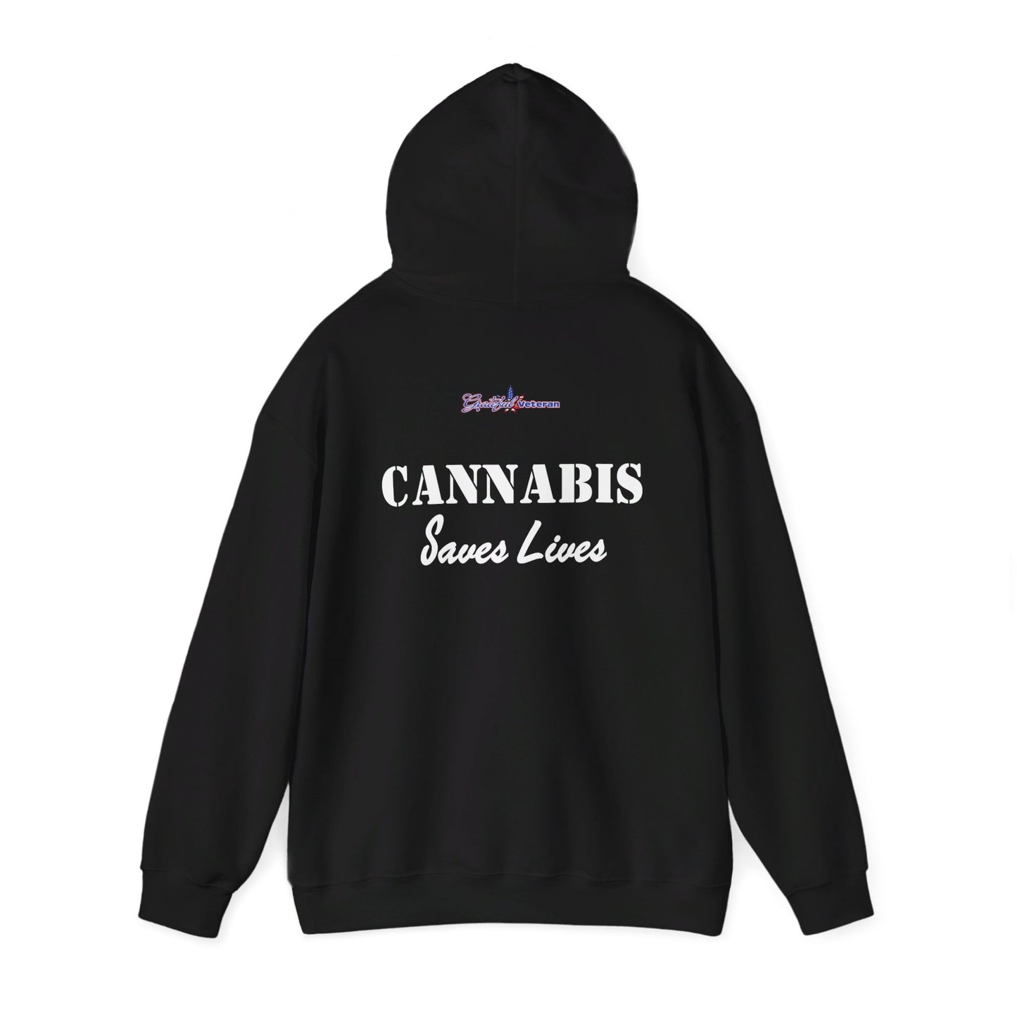 Soar High with the USAF F-22 Cannabis Leaf Hoodie