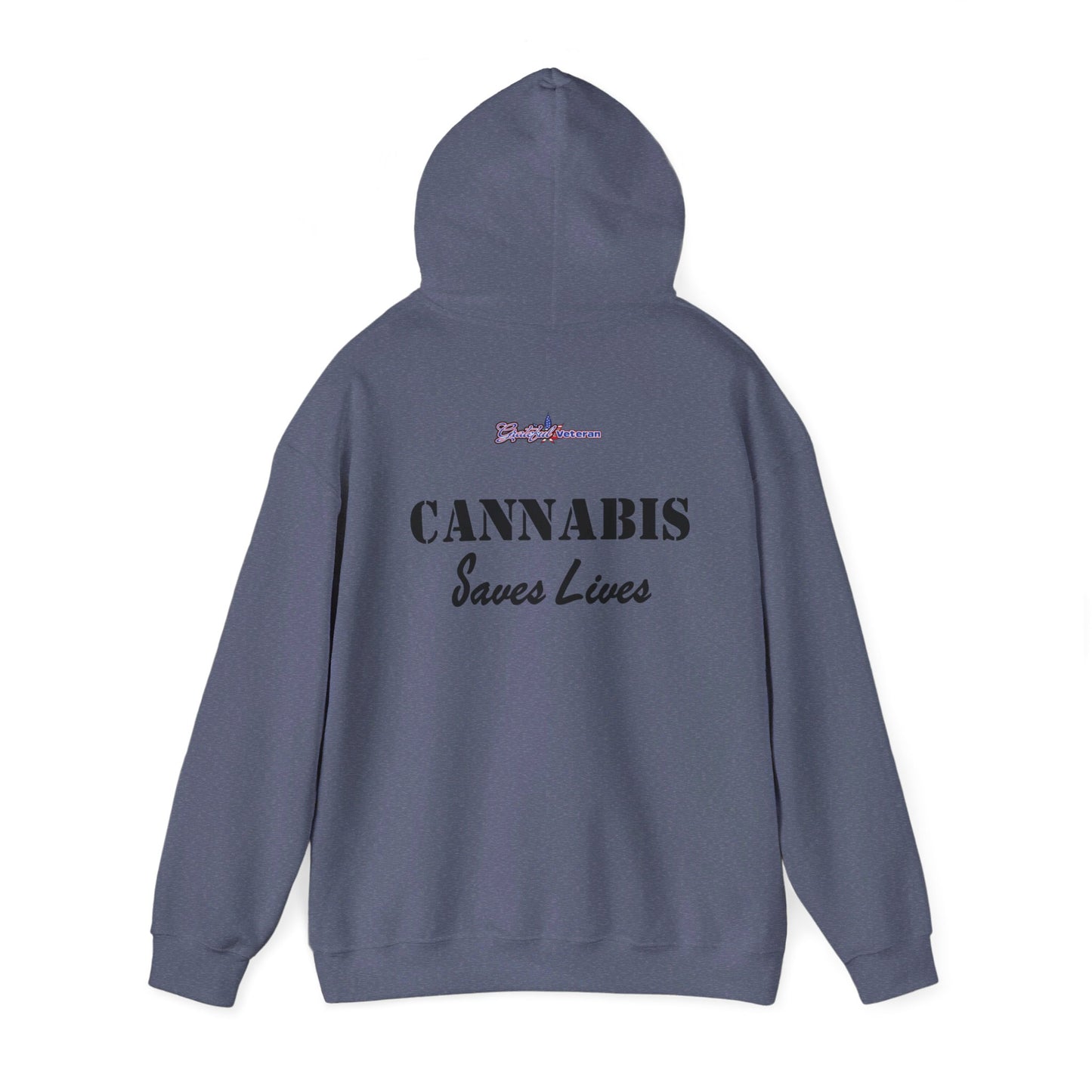 Soar High with the USAF F-22 Cannabis Leaf Hoodie