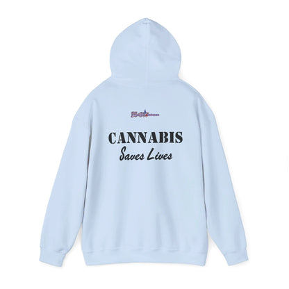 Soar High with the USAF F-22 Cannabis Leaf Hoodie